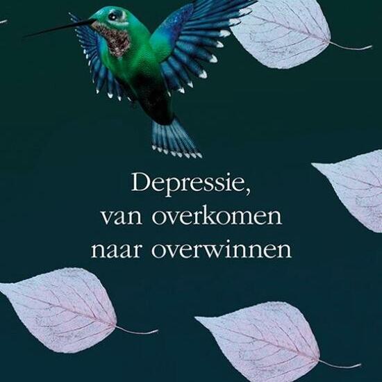 Boek Depressie Wim